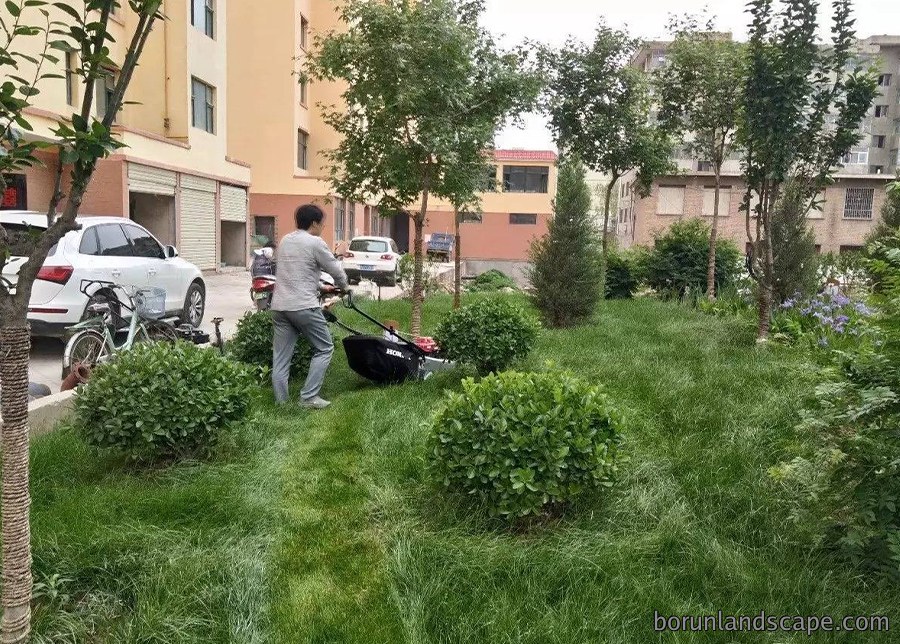 园林绿化工程施工